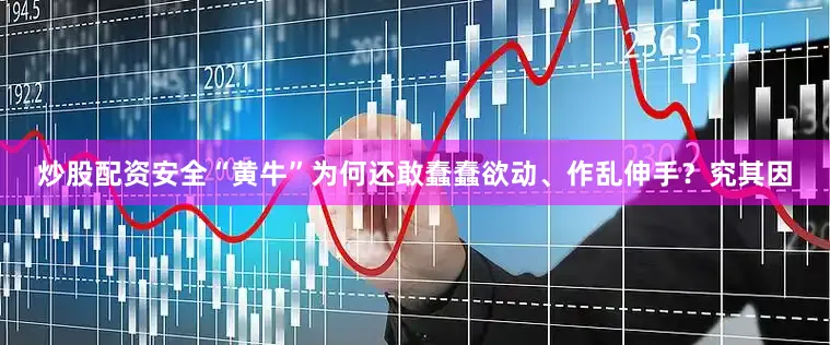 炒股配资安全“黄牛”为何还敢蠢蠢欲动、作乱伸手？究其因