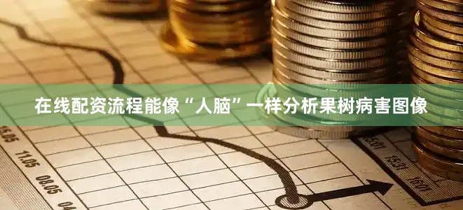 在线配资流程能像“人脑”一样分析果树病害图像