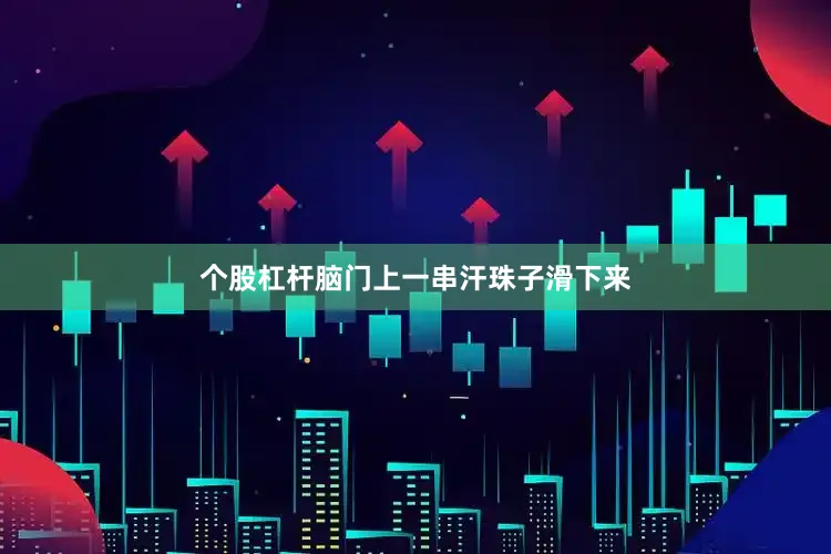 个股杠杆脑门上一串汗珠子滑下来
